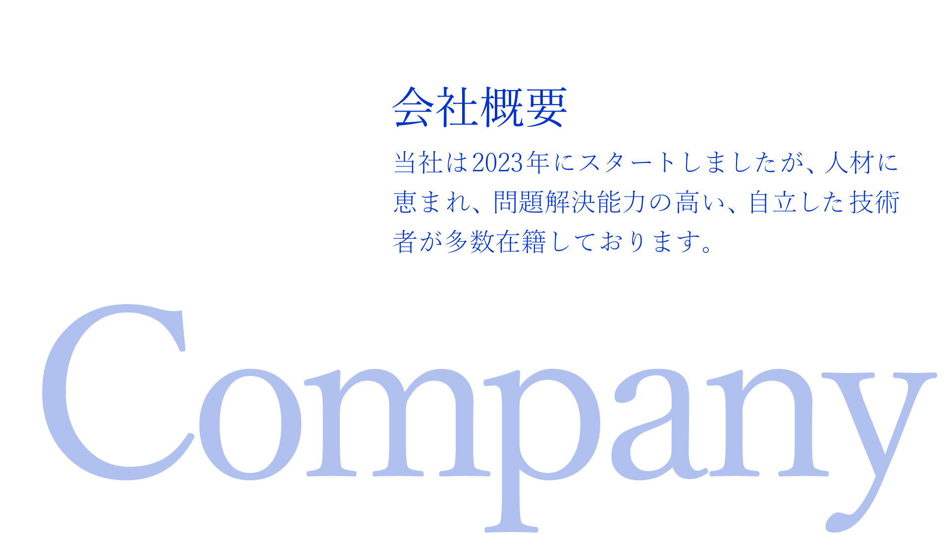 当社は2023年にスタートしましたが、人材に恵まれ、問題解決能力の高い、自立した技術者が多数在籍しております。